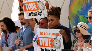 COP28: pr&eacute;sence record des lobbys en pleines n&eacute;gociations sur les &eacute;nergies fossiles