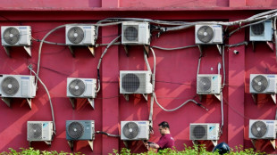 Metano, N2O, gases fluorados: los otros gases de efecto invernadero