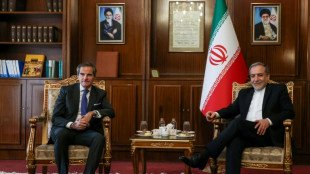 El jefe del OIEA se re&uacute;ne con el canciller iran&iacute; para abordar el programa nuclear