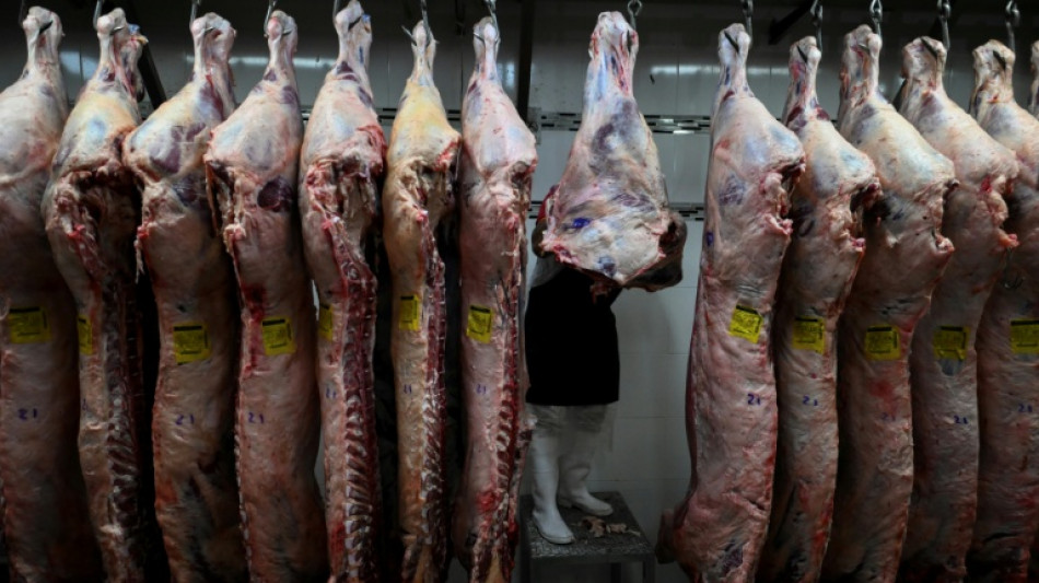 Meat-loving Argentines shun beef as inflation bites