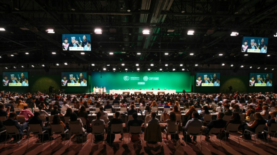 COP28 prop&otilde;e 'redu&ccedil;&atilde;o' das energias f&oacute;sseis em rascunho