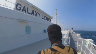 Jap&oacute;n contacta con los rebeldes hut&iacute;es de Yemen tras la captura de un barco en el mar Rojo