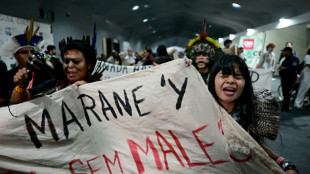 L'UE cède et se résigne à un accord décevant à la COP30