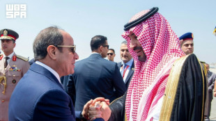 Le Caire et Ryad appellent &agrave; garantir la libre navigation en mer Rouge