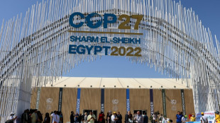 Marcas de moda y proveedores forcejean sobre transici&oacute;n clim&aacute;tica en la COP27