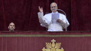 Il Papa, chi ha il potere di scatenare le guerre scelga la pace