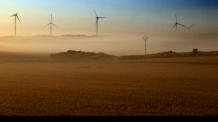 Por primera vez en la UE, la energ&iacute;a e&oacute;lica y la solar superaron al gas en 2022