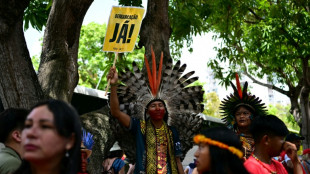 El Congreso de Brasil avanza en la restricci&oacute;n a la demarcaci&oacute;n de tierras ind&iacute;genas