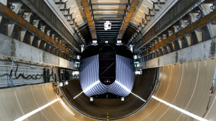 Ensayan c&aacute;psula 'hyperloop' en Pa&iacute;ses Bajos para conectar ciudades europeas en pocas horas