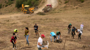 Los incendios forestales en España queman otras 30.000 hectáreas