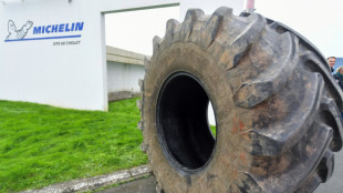 Auchan y Michelin anuncian la supresi&oacute;n de m&aacute;s de 3.600 empleos en Francia