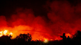 El cambio clim&aacute;tico obstaculiza la prevenci&oacute;n de incendios en EEUU, seg&uacute;n estudio
