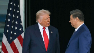 Seltene Erden gegen Sojabohnen: Trump und Xi in Handelsfragen einig