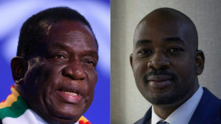 Zimb&aacute;bue vota para presidente em cen&aacute;rio pol&iacute;tico tenso