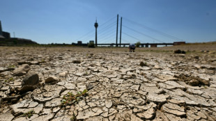 Niedrigwasser durch Trockenheit: Rheinpegel teilweise weiter auf Tiefststand