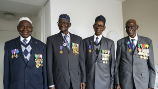 Francia permite por fin "regresar a casa" a los veteranos africanos de su ej&eacute;rcito colonial