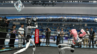 World's first humanoid robot games begin in China