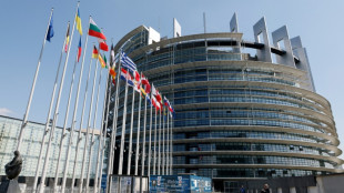 Les eurod&eacute;put&eacute;s valident les nouvelles r&egrave;gles de l'UE pour le num&eacute;rique