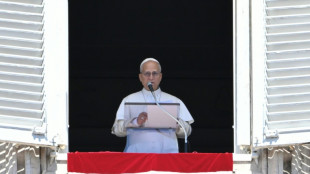 El papa pide terminar con "pandemia de armas" que mata a niños en crímenes y conflictos