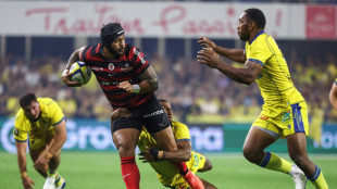 Top 14: Toulouse, Toulon, Pau et Bayonne pour confirmer à domicile
