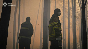Ukraine: important feu de for&ecirc;t dans la zone radioactive de Tchernobyl apr&egrave;s la chute d'un drone
