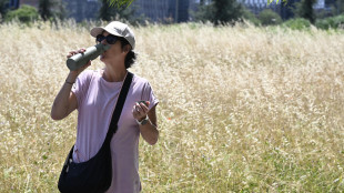 Un'altra settimana di caldo, sar&agrave; un Ferragosto a 40 gradi