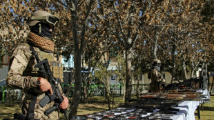Los problemas de producci&oacute;n frenan la venta mundial de armas