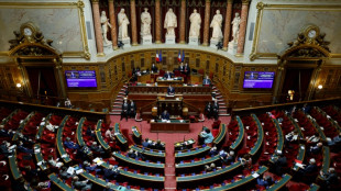 Pouvoir d'achat: coup d'envoi des d&eacute;bats au S&eacute;nat