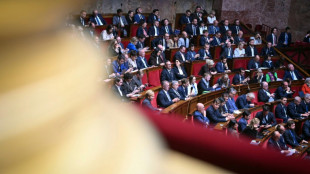Au dernier jour d'examen de la loi "int&eacute;grale", le RN fait tomber plusieurs mesures 