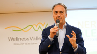 Alessandri, l'Italia può diventare riferimento mondiale wellness