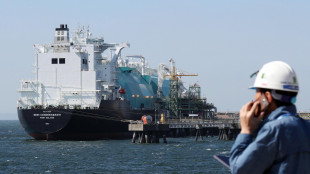 Progetto Eni-Ypf su Lng riceve proposta di finanziamento Usa da 6 miliardi di dollari (2)