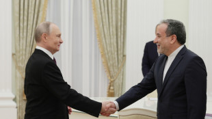 Il ministro degli Esteri iraniano a San Pietroburgo per colloqui con Putin