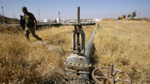 El Parlamento iraqu&iacute; aprueba un presupuesto que da a Bagdad el control sobre el petr&oacute;leo kurdo