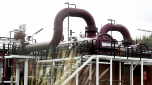 Russland stoppt wie angek&uuml;ndigt Gas-Lieferungen nach Finnland
