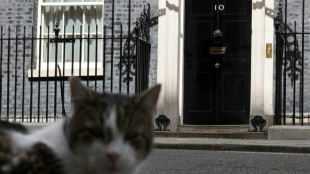 El Brexit se cuela en la crisis del Partido Laborista brit&aacute;nico 