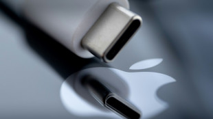 Apple abandona sus planes de desarrollar un veh&iacute;culo el&eacute;ctrico 
