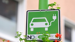 Öffentliche Ladepunkte für E-Autos: Autoindustrie fordert mehr Tempo beim Ausbau