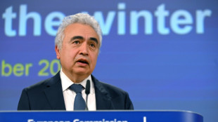 Los precios del gas ser&aacute;n "mucho m&aacute;s razonables" en Europa a partir de 2025, indica la AIE
