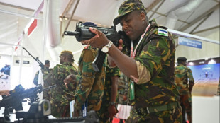 India presenta a &Aacute;frica equipos de defensa "asequibles" de fabricaci&oacute;n local