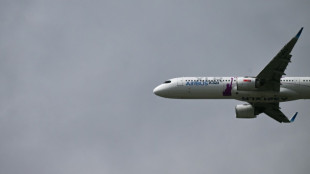 Boeing y Airbus, un duopolio sin nubes a la vista en el sector aeron&aacute;utico