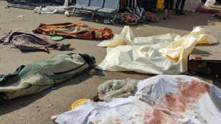 Bombardeos y disparos contra hospitales de Gaza, seg&uacute;n responsables palestinos