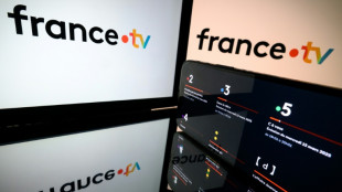 En difficult&eacute;, le secteur audiovisuel cible "l'apathie" des pouvoirs publics