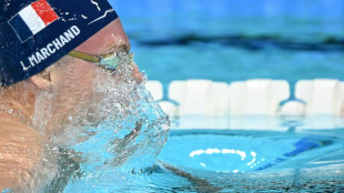 JO: les triathl&egrave;tes sont en Seine, le grand pari de Marchand