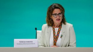 Algunos avances y persistentes divisiones sobre combustibles f&oacute;siles en la COP28