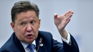 Las exportaciones de gas ruso fuera del antiguo bloque sovi&eacute;tico cayeron un 45,5% en 2022