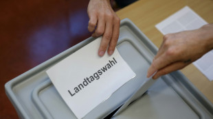 Sachsen-Anhalt: Wahlbeteiligung um 16.00 Uhr &uuml;ber 65 Prozent 