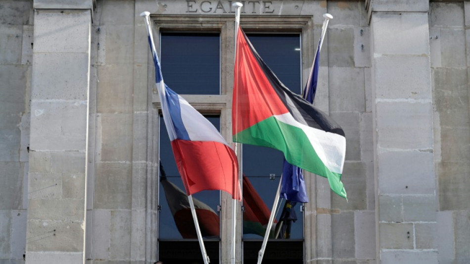 French town halls fly Palestinian flag despite government warning