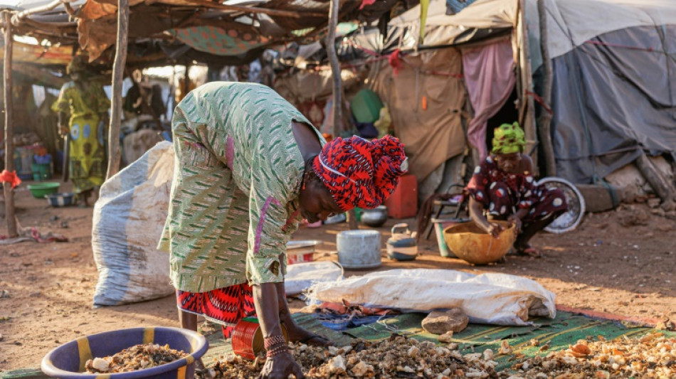 Cada d&iacute;a se echaron a perder mil millones de comidas en 2022, seg&uacute;n la ONU
