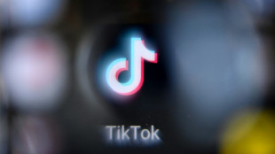 TikTok repartir&aacute; sus ingresos por publicidad con creadores de contenido