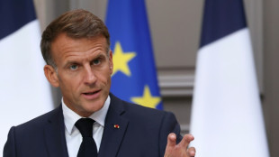 Macron ordena un plan para proteger las infraestructuras cr&iacute;ticas francesas de "ataques h&iacute;bridos rusos"